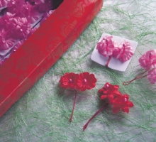 雙春花-紅/粉(15元/朵)